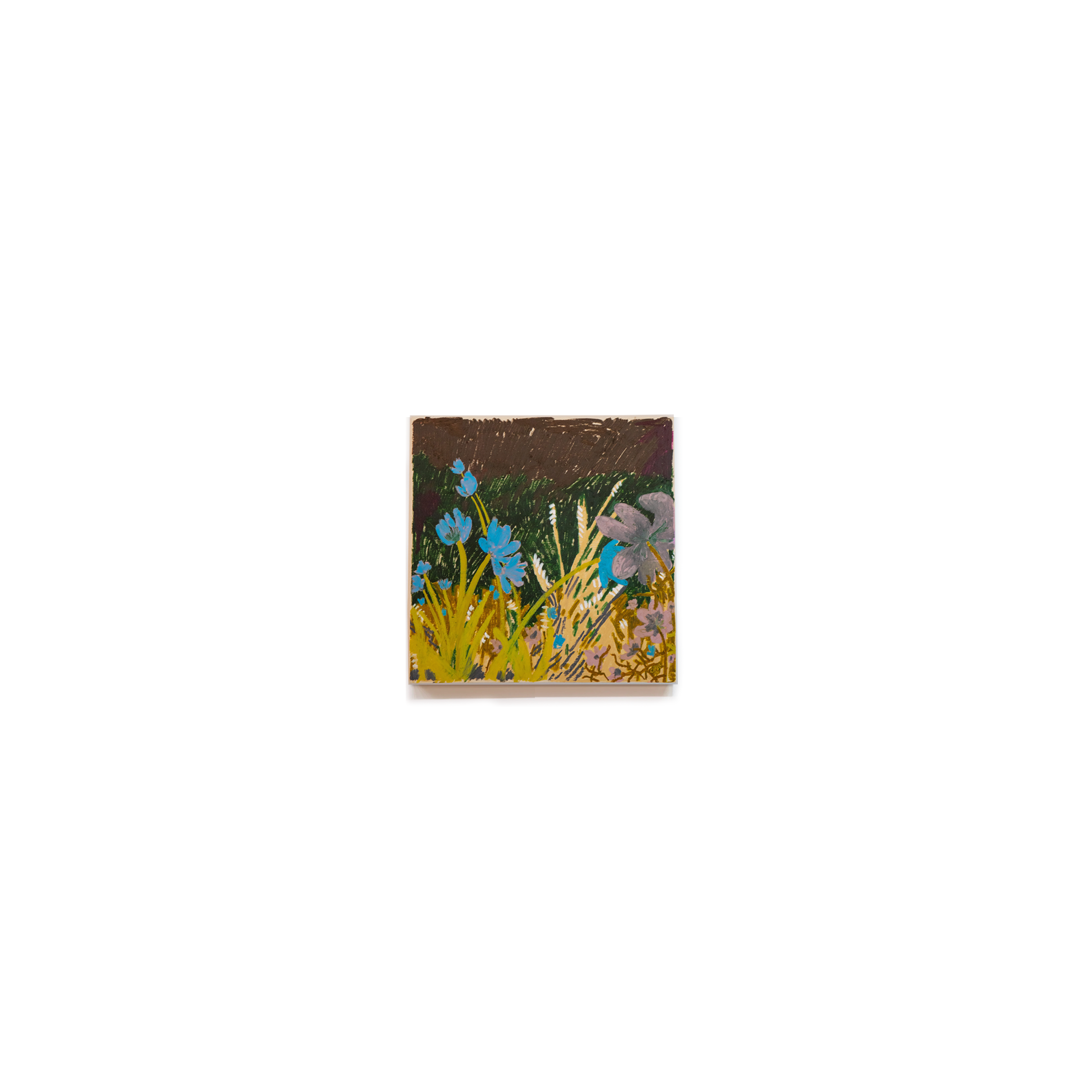 Night Meadow