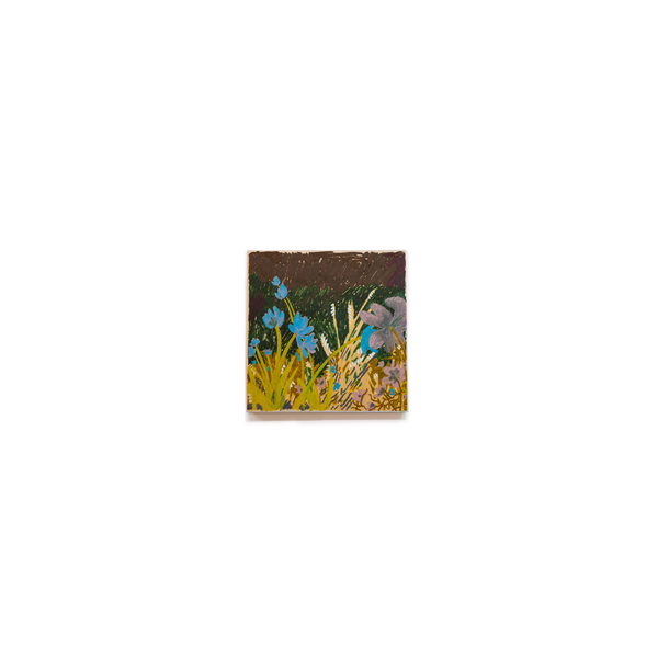 Thumbnail image for Night Meadow