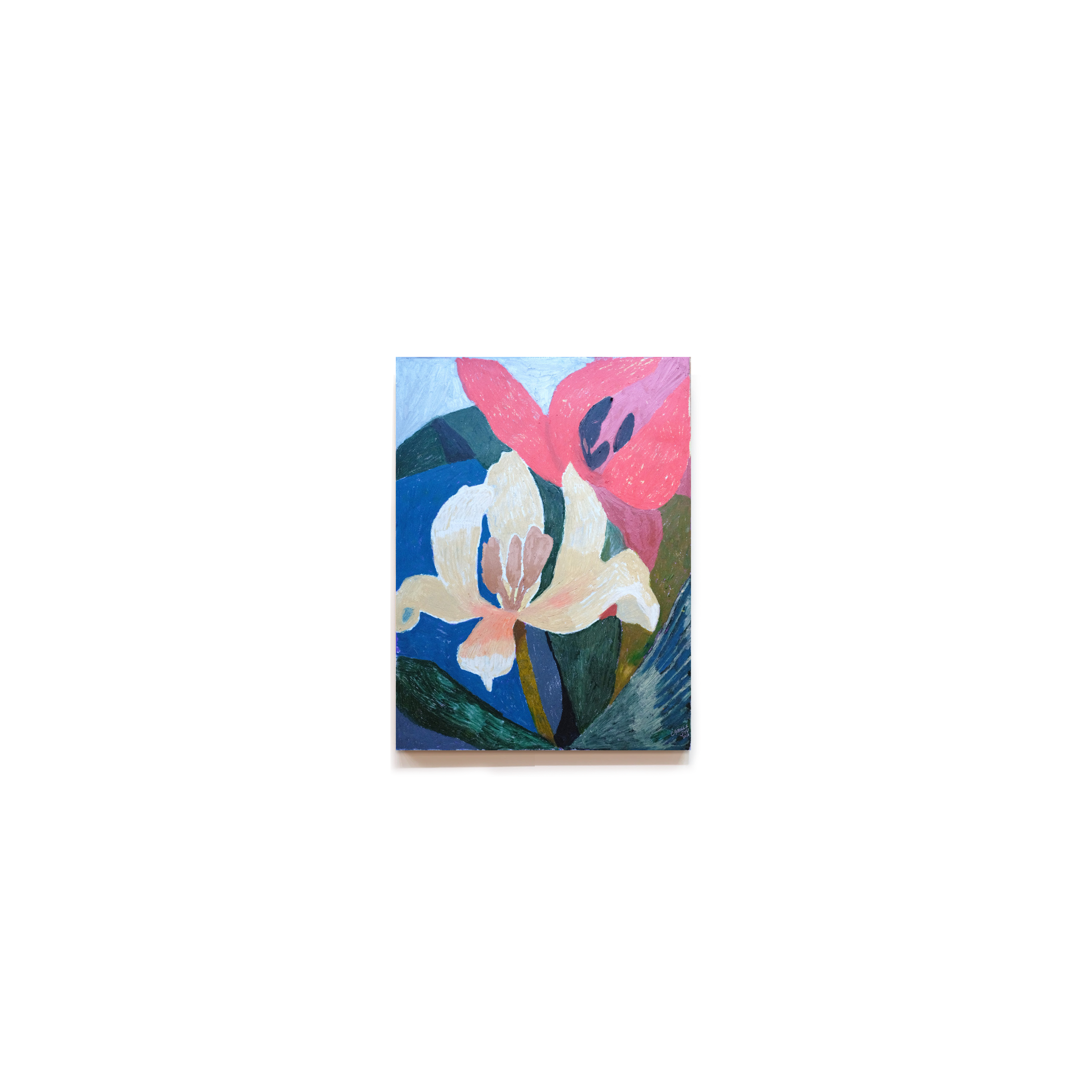 Tulip Dance