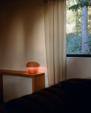 Lamp on a wooden table with a window in the background showing trees