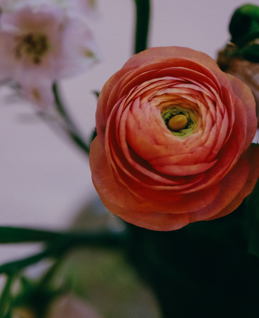 Medium Floral Center Piece