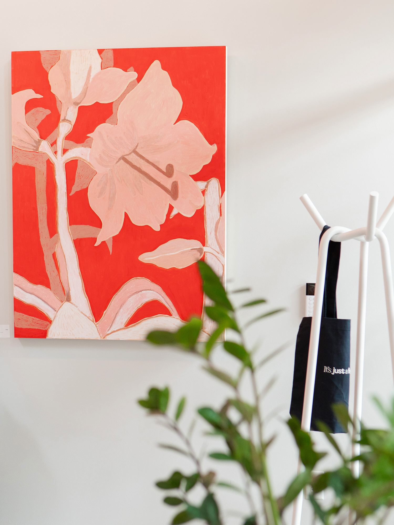 Amaryllis