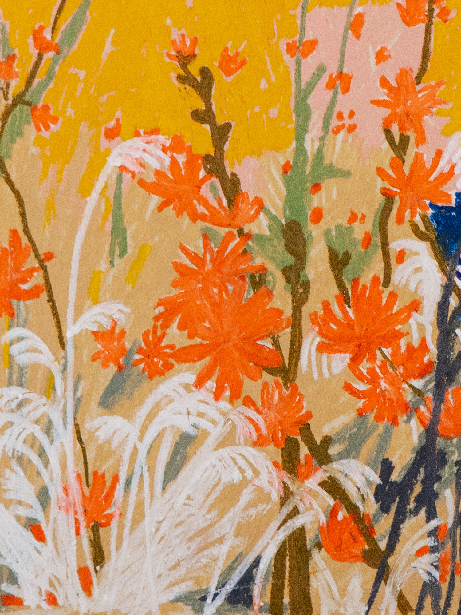 Meadow