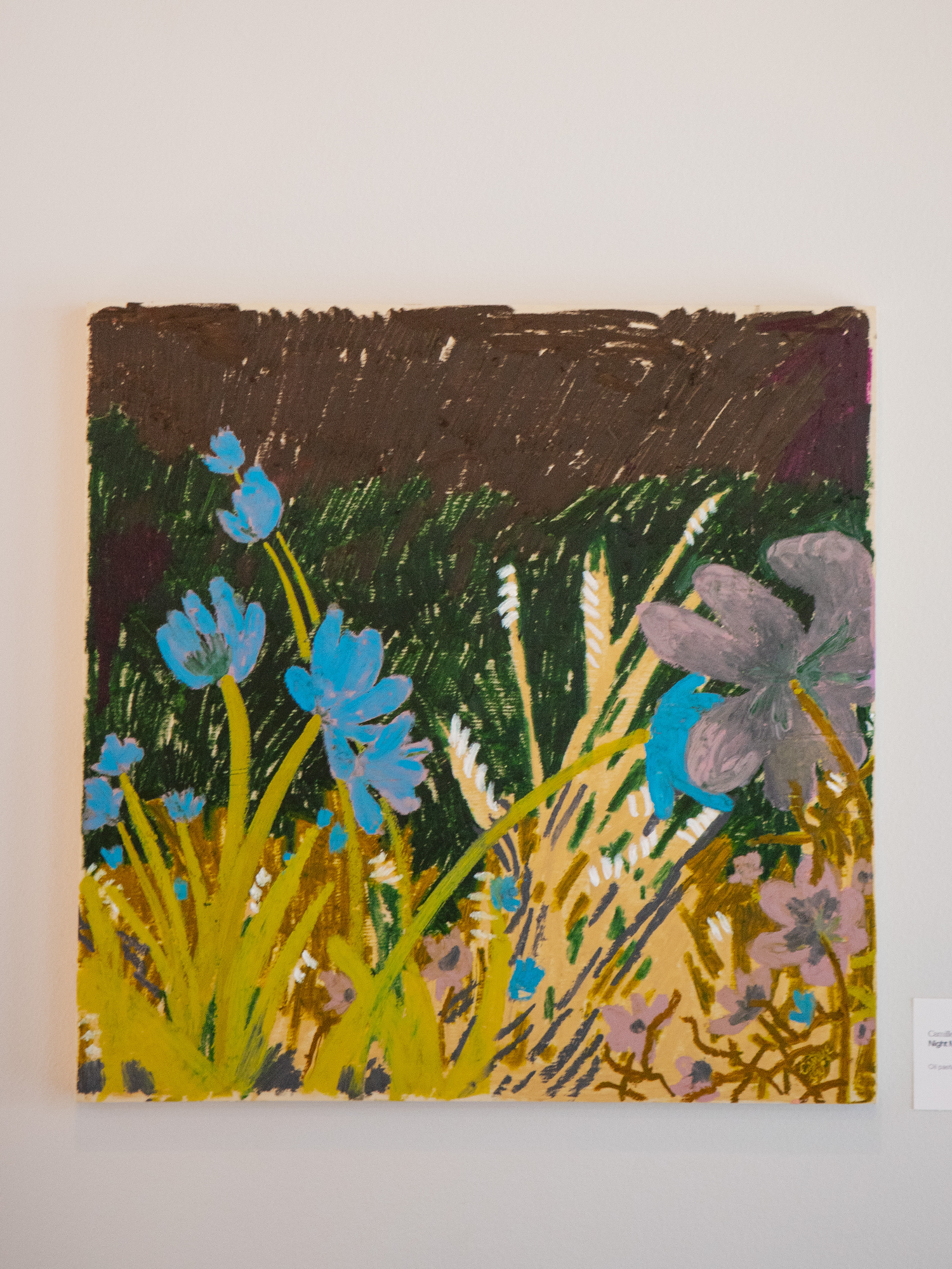 Night Meadow