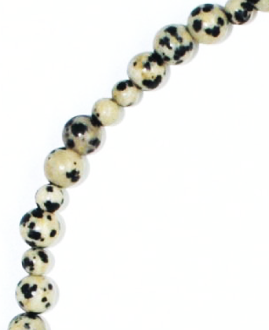 Otto Necklace in Dalmatian